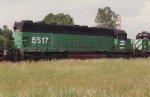 BN #6517